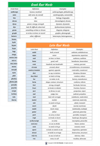 Greek and Latin Root Words (lists & flashcards)