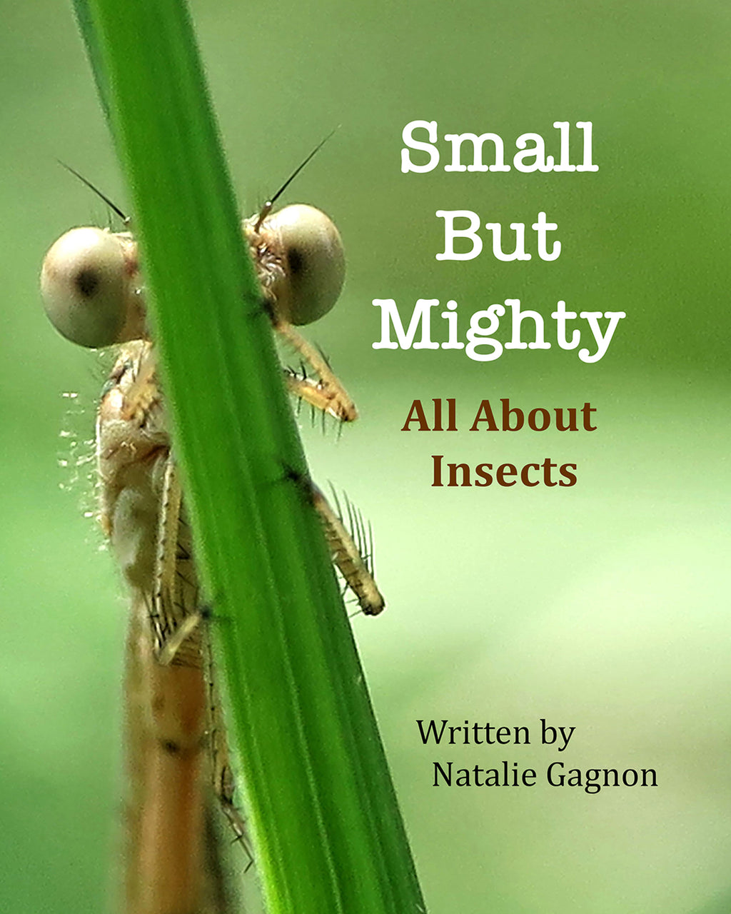Small But Mighty - All About Insects