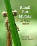 Small But Mighty - All About Insects