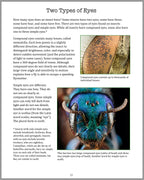 Small But Mighty - All About Insects