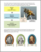 Small But Mighty - All About Insects