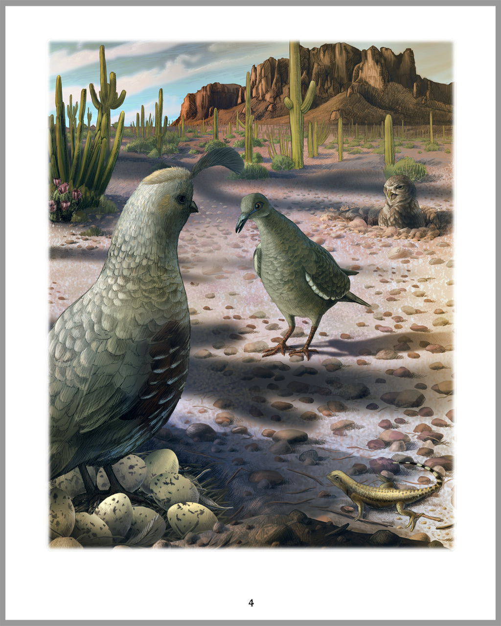 The Quail's Tale - A Story of Survival in the Sonoran Desert