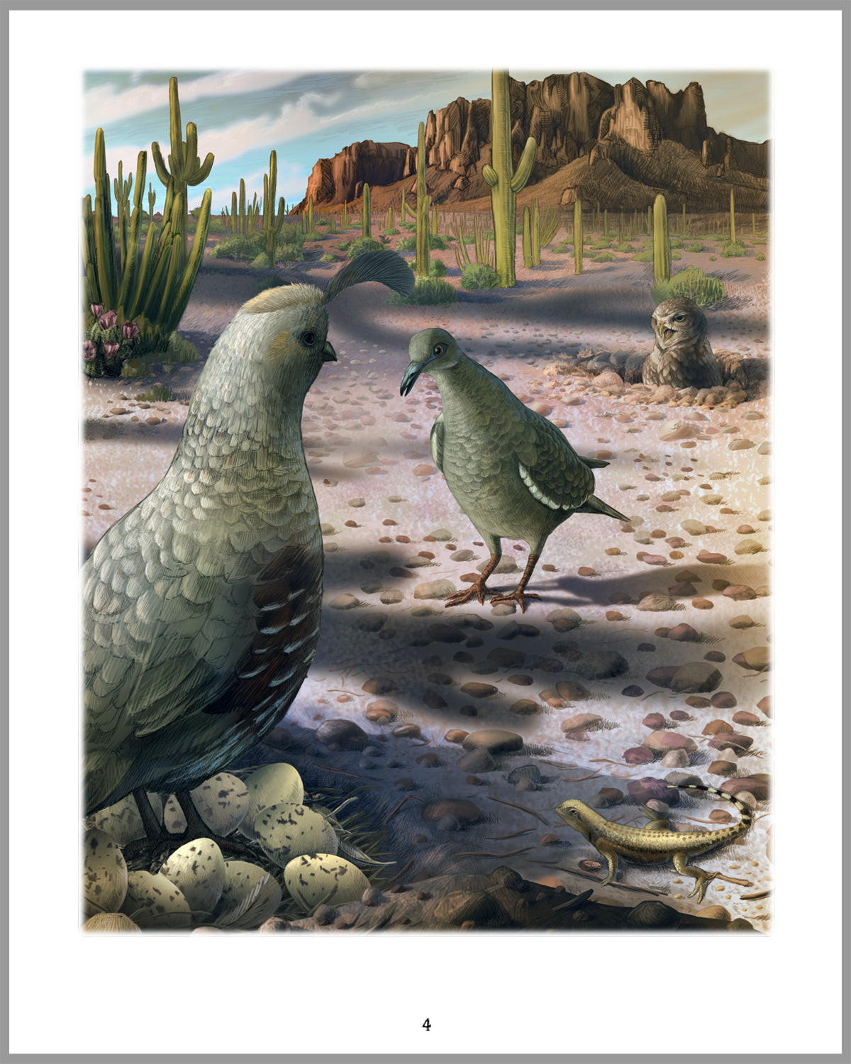 The Quail's Tale - A Story of Survival in the Sonoran Desert