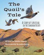 A Quail's Tale - A Story of Survival in the Sonoran Desert