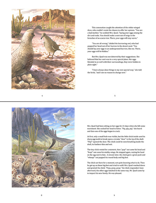 A Quail's Tale - A Story of Survival in the Sonoran Desert
