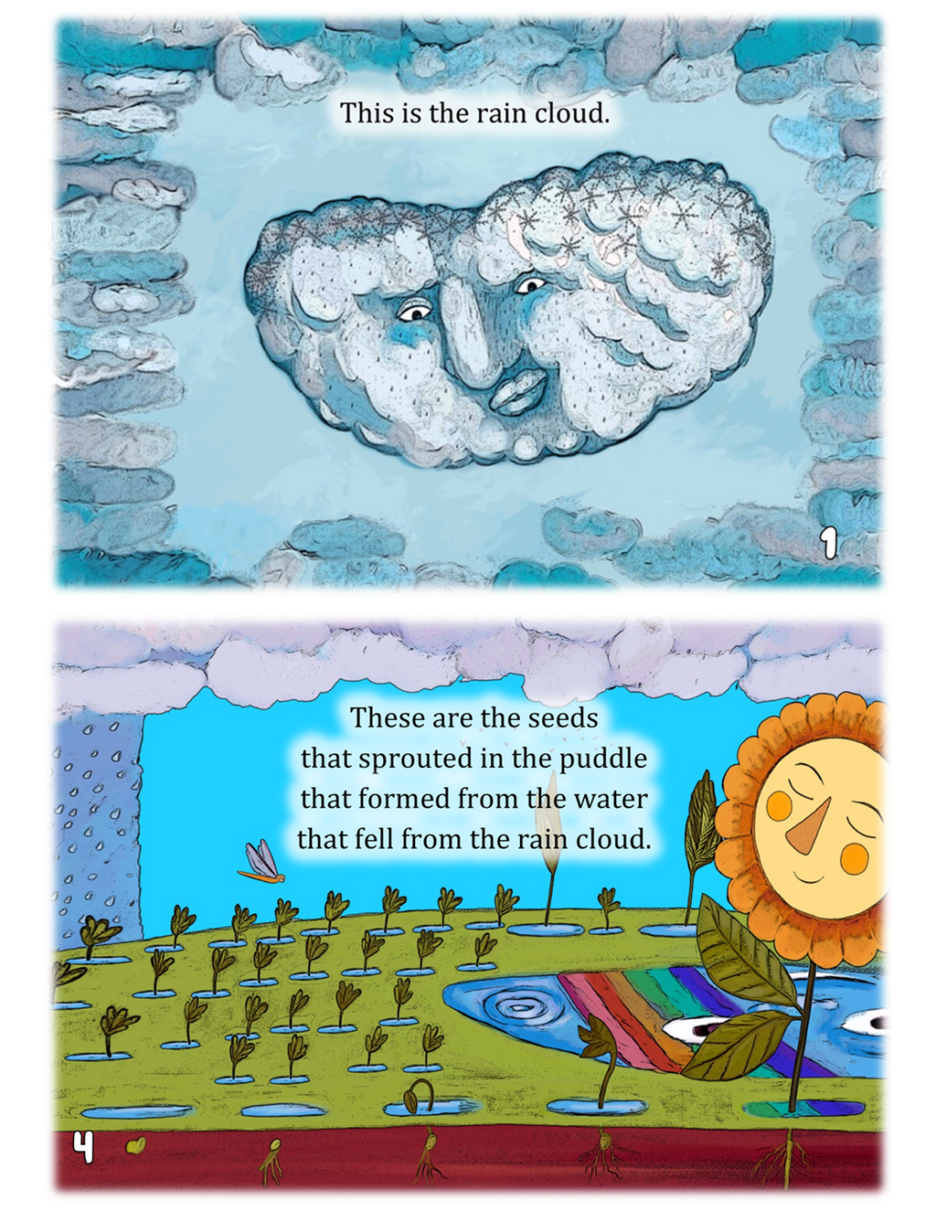 Rain Cloud - A Little Book about the Water Cycle (and plants, too)