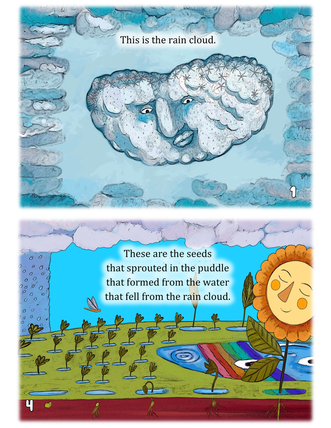 Rain Cloud - A Little Book about the Water Cycle (and plants, too)