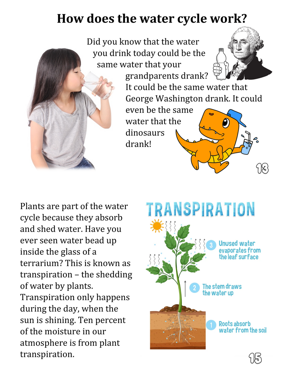 Rain Cloud - A Little Book about the Water Cycle (and plants, too)