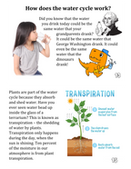 Rain Cloud - A Little Book about the Water Cycle (and plants, too)
