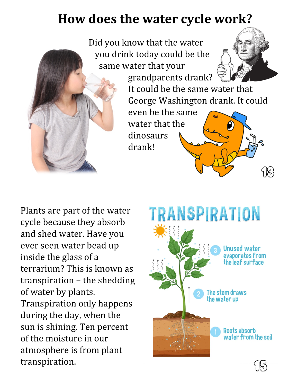 Rain Cloud - A Little Book about the Water Cycle (and plants, too)