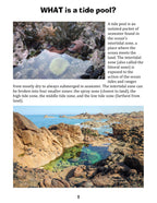 Let's Visit a Tide Pool!