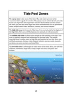 Let's Visit a Tide Pool!