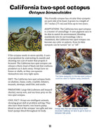 Let's Visit a Tide Pool!