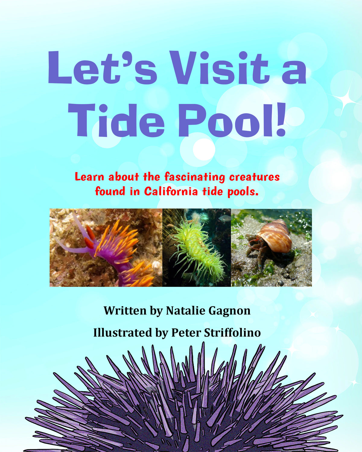Let's Visit a Tide Pool!