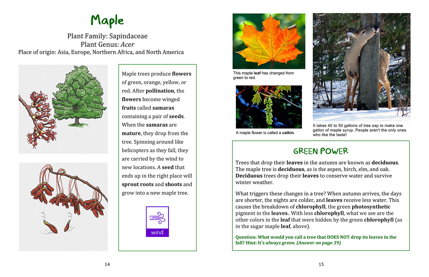 Tiny Travelers - A Book About Seed Dispersal (and other cool things about plants)