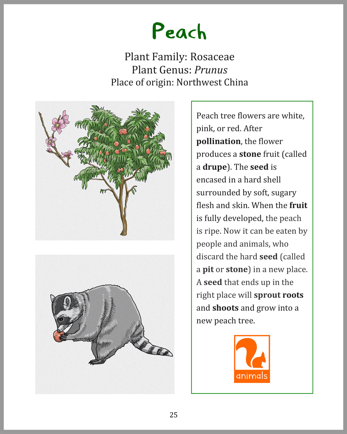 Tiny Travelers - A Book About Seed Dispersal (and other cool things about plants)