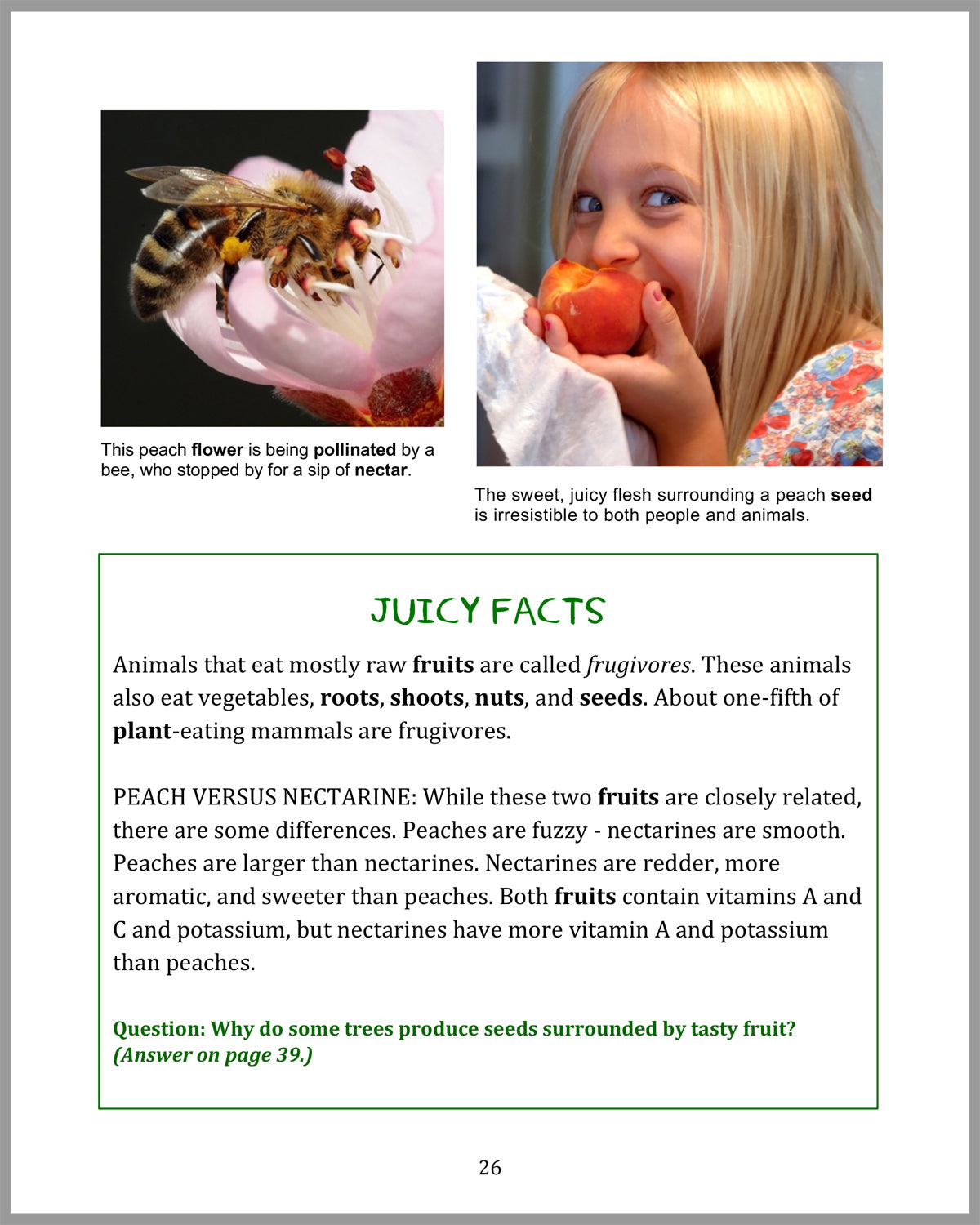 Tiny Travelers - A Book About Seed Dispersal (and other cool things about plants)